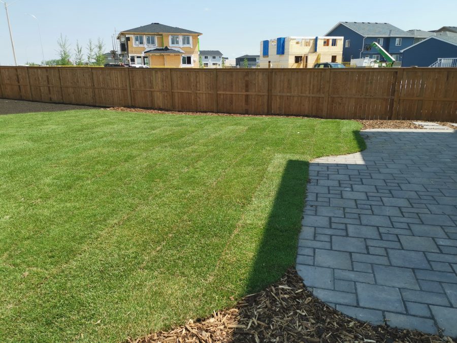 Watering New Sod Calgary Landscaping New Sod Watering Chart