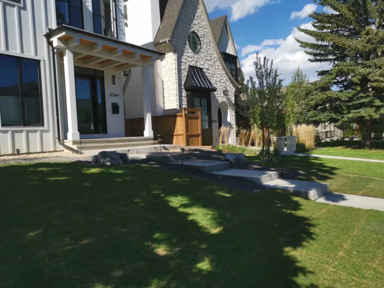 House with new grass and cement walkway