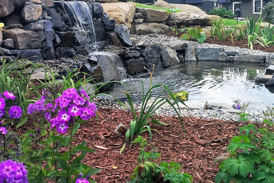 Pond with a small Waterfall and flowers