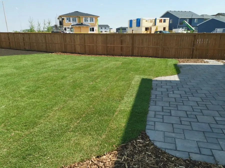 Green Grass Lawn and Patio