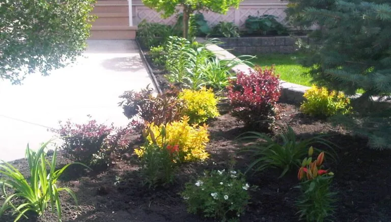 Planting bed with multi-colored plants and rich garden compost soil.