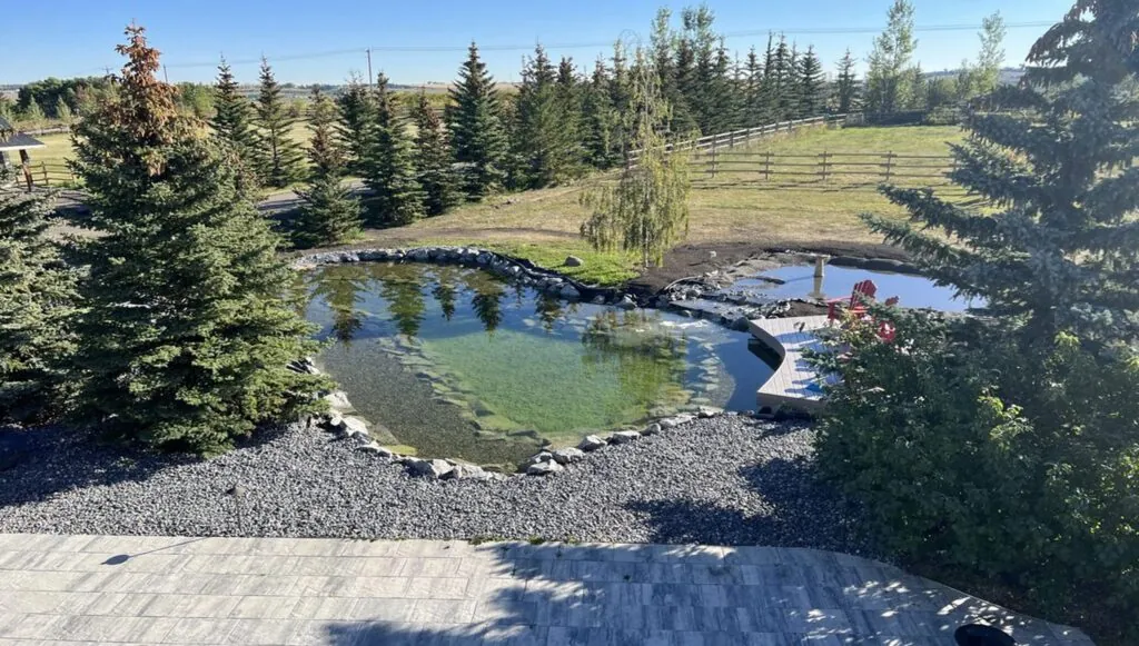 Natural Swimming Pool