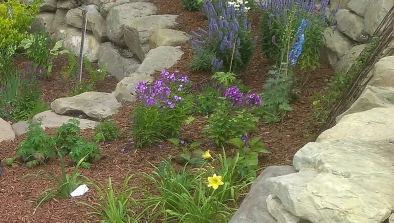 Two Tier Sandstone Retaining wall with purple plants
