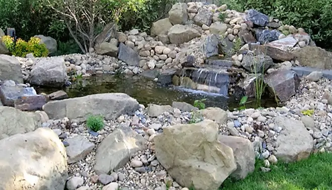 D KACHUIK - Calgary - Westhills