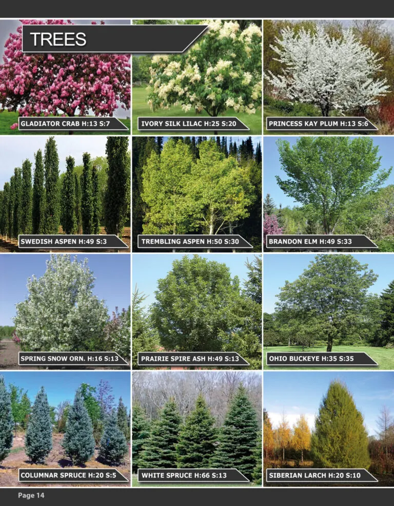 2025 Catalogue Page 14