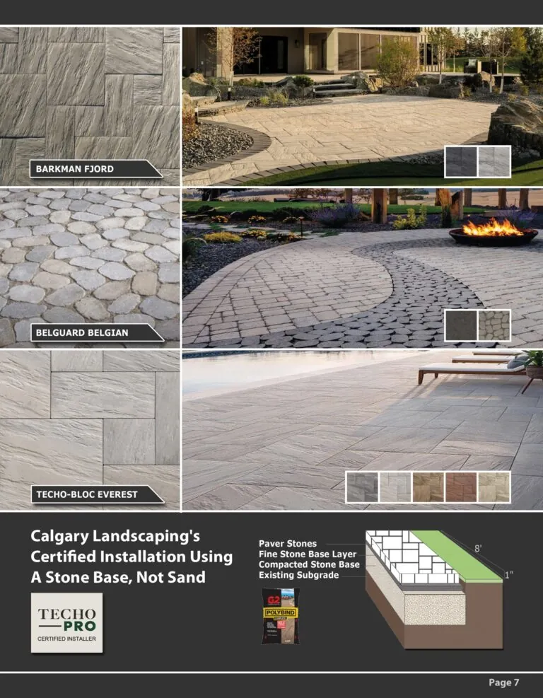 2025 Catalogue Page 7